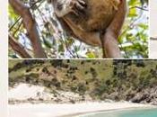 Comenta destacado viaje días isla Kangaroo