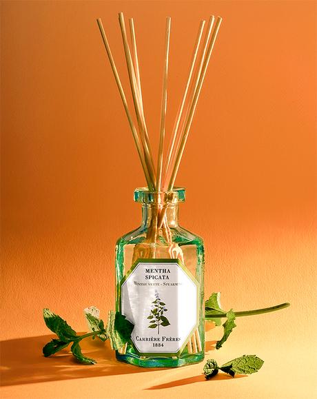 CARRIERE FRERES, LA HERMANA PEQUEÑA DE CIRE TRUDON