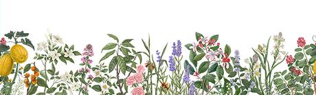 CARRIERE FRERES, LA HERMANA PEQUEÑA DE CIRE TRUDON