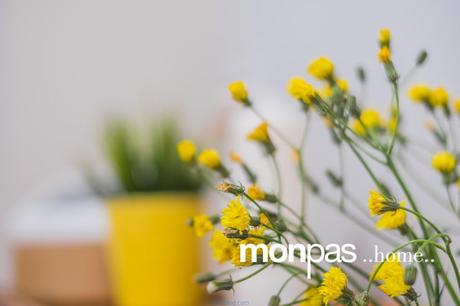 Cristina Repáraz, Gerente de Monpas Inmobiliaria, de...