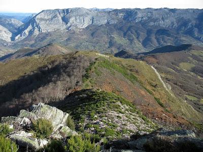 Cuña-Pol.lares-Lavandera (Vaxinas)