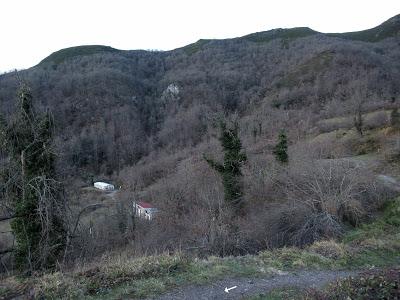 Cuña-Pol.lares-Lavandera (Vaxinas)