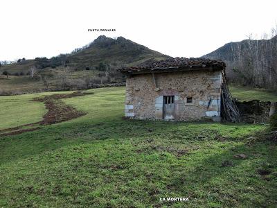 Cuña-Pol.lares-Lavandera (Vaxinas)