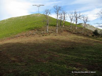 Cuña-Pol.lares-Lavandera (Vaxinas)