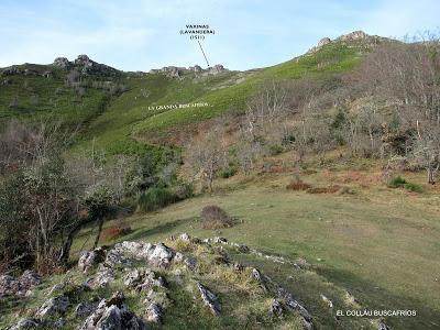 Cuña-Pol.lares-Lavandera (Vaxinas)