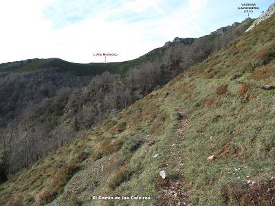 Cuña-Pol.lares-Lavandera (Vaxinas)