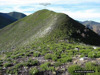 Cuña-Pol.lares-Lavandera (Vaxinas)