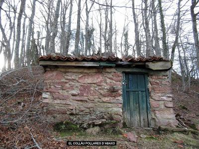 Cuña-Pol.lares-Lavandera (Vaxinas)