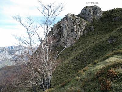 Cuña-Pol.lares-Lavandera (Vaxinas)