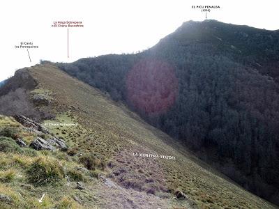 Cuña-Pol.lares-Lavandera (Vaxinas)