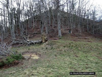 Cuña-Pol.lares-Lavandera (Vaxinas)