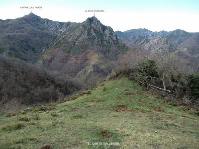 Cuña-Pol.lares-Lavandera (Vaxinas)