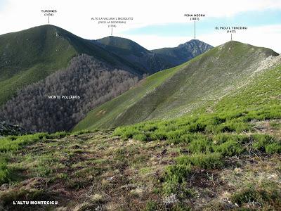 Cuña-Pol.lares-Lavandera (Vaxinas)