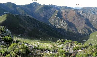Cuña-Pol.lares-Lavandera (Vaxinas)