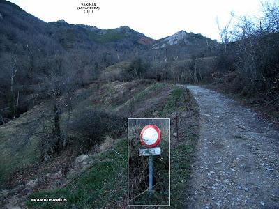 Cuña-Pol.lares-Lavandera (Vaxinas)