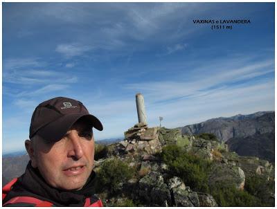 Cuña-Pol.lares-Lavandera (Vaxinas)