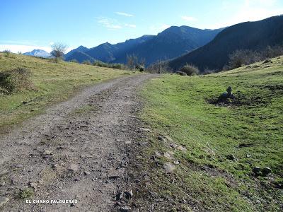 Cuña-Pol.lares-Lavandera (Vaxinas)