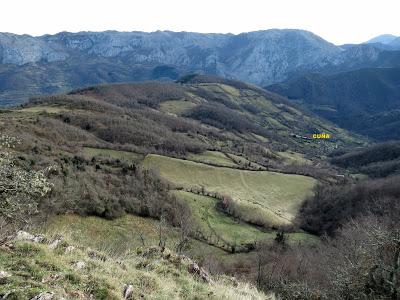Cuña-Pol.lares-Lavandera (Vaxinas)