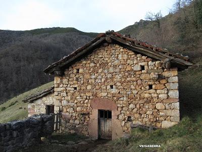 Cuña-Pol.lares-Lavandera (Vaxinas)