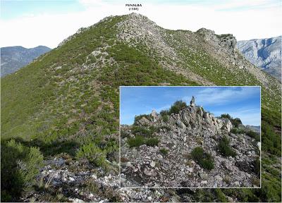 Cuña-Pol.lares-Lavandera (Vaxinas)