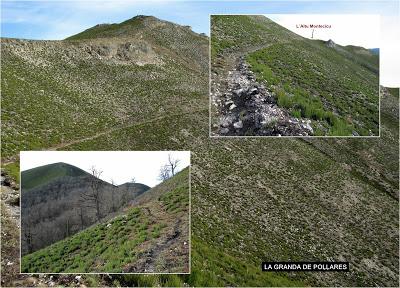 Cuña-Pol.lares-Lavandera (Vaxinas)