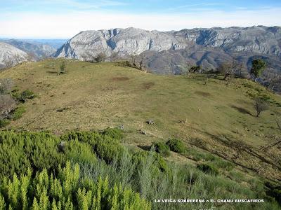 Cuña-Pol.lares-Lavandera (Vaxinas)