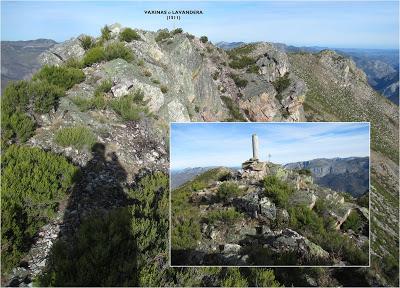 Cuña-Pol.lares-Lavandera (Vaxinas)