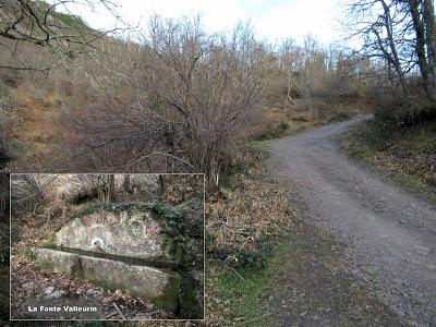 Cuña-Pol.lares-Lavandera (Vaxinas)