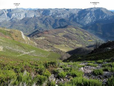 Cuña-Pol.lares-Lavandera (Vaxinas)