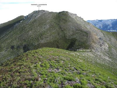 Cuña-Pol.lares-Lavandera (Vaxinas)