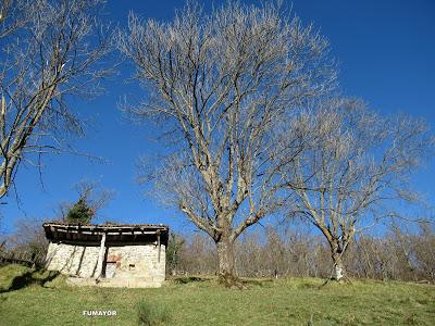 Cuña-Pol.lares-Lavandera (Vaxinas)