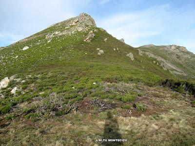 Cuña-Pol.lares-Lavandera (Vaxinas)