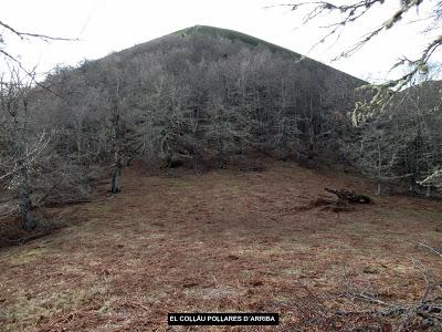 Cuña-Pol.lares-Lavandera (Vaxinas)