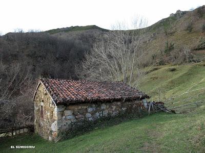 Cuña-Pol.lares-Lavandera (Vaxinas)