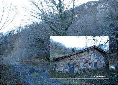 Cuña-Pol.lares-Lavandera (Vaxinas)