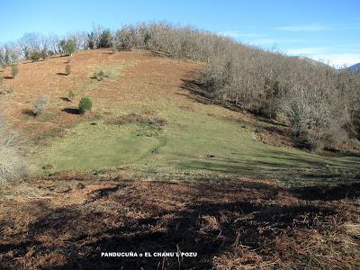 Cuña-Pol.lares-Lavandera (Vaxinas)