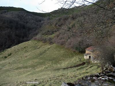 Cuña-Pol.lares-Lavandera (Vaxinas)