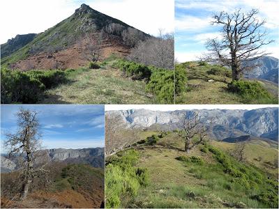 Cuña-Pol.lares-Lavandera (Vaxinas)
