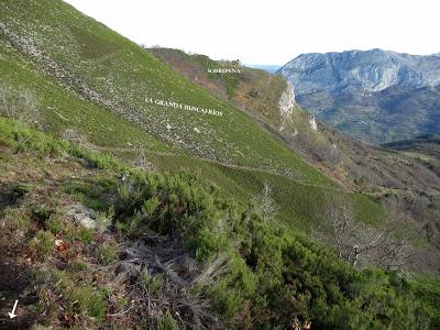 Cuña-Pol.lares-Lavandera (Vaxinas)