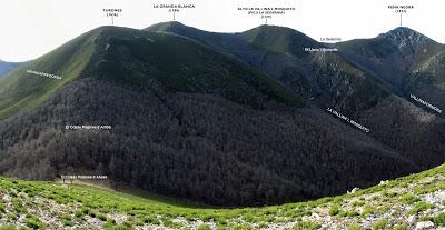 Cuña-Pol.lares-Lavandera (Vaxinas)