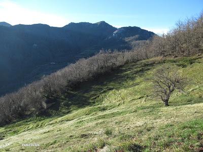 Cuña-Pol.lares-Lavandera (Vaxinas)