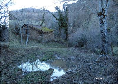 Cuña-Pol.lares-Lavandera (Vaxinas)