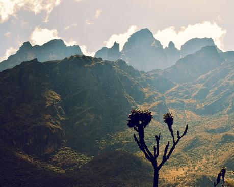 mountains-of-the-moon-uganda ▷ Las caminatas más escénicas alrededor del mundo