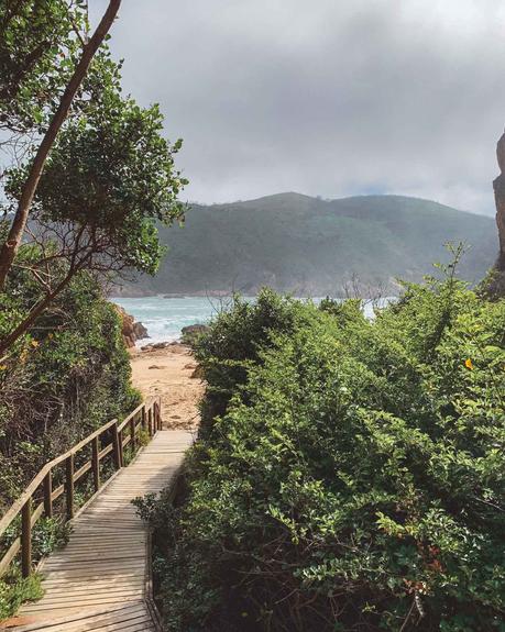 garden-route-2-1 ▷ Las caminatas más escénicas alrededor del mundo