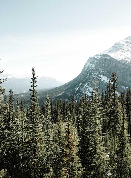 banff-canada ▷ Las caminatas más escénicas alrededor del mundo