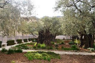 Recorriendo Jerusalen en 4 días. Enero 2015. Recorriendo Jerusalen en 4 días. Enero 2015.