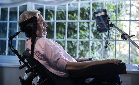 [A VUELAPLUMA] Plantar un árbol aunque se acabe el mundo