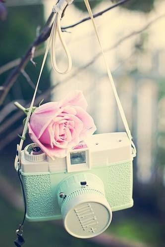 ALTOS VUELOS -AUTOPLAGIO-