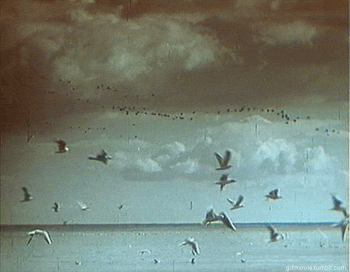 ALTOS VUELOS -AUTOPLAGIO-