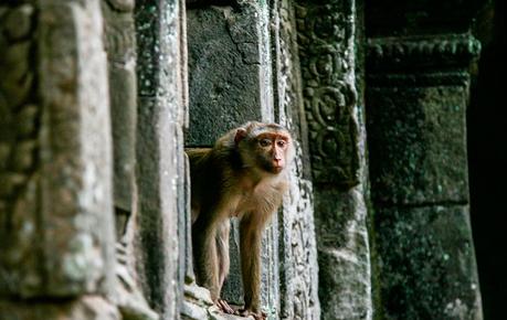 Mi viaje a Camboya: un destino en sí mismo Mi viaje a Camboya: un destino en sí mismo
